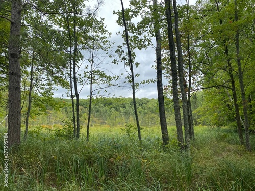 Scenic Minnesota Landscape in the Summer Time