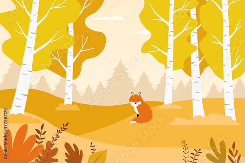 Vector illustration of birch forest and fox in autumn.