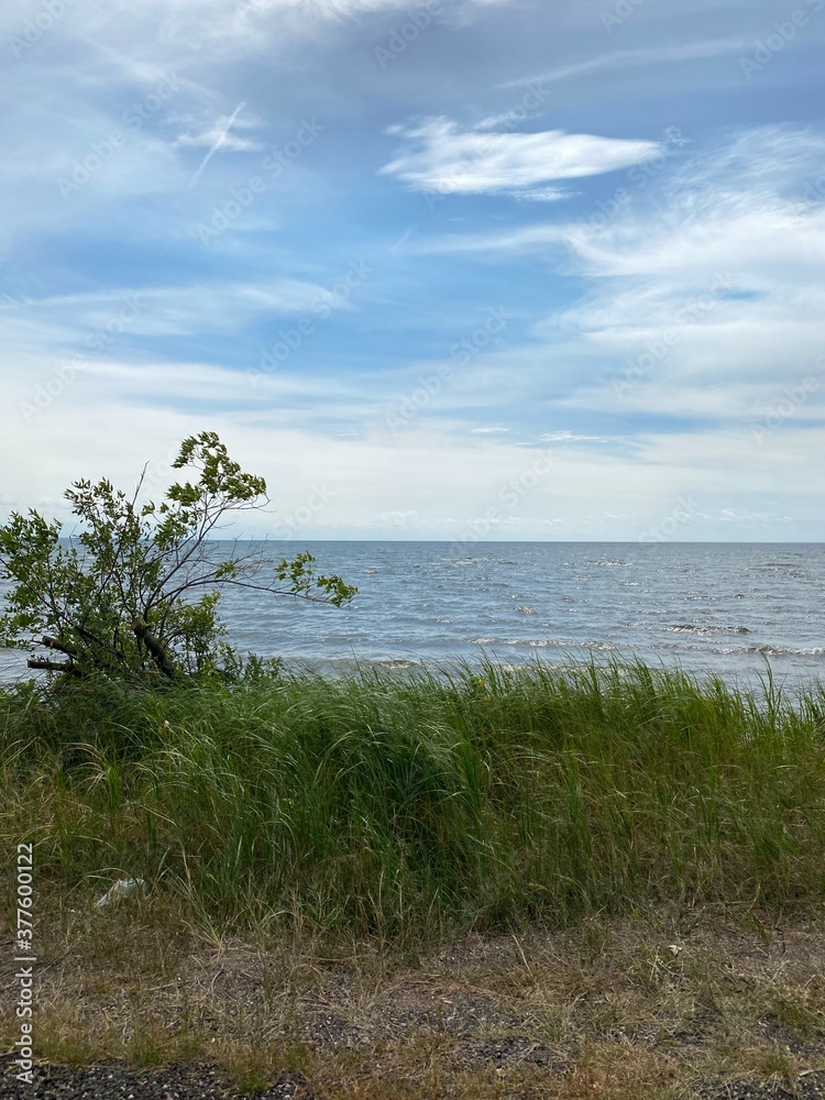 Scenic Minnesota Landscape in the Summer Time