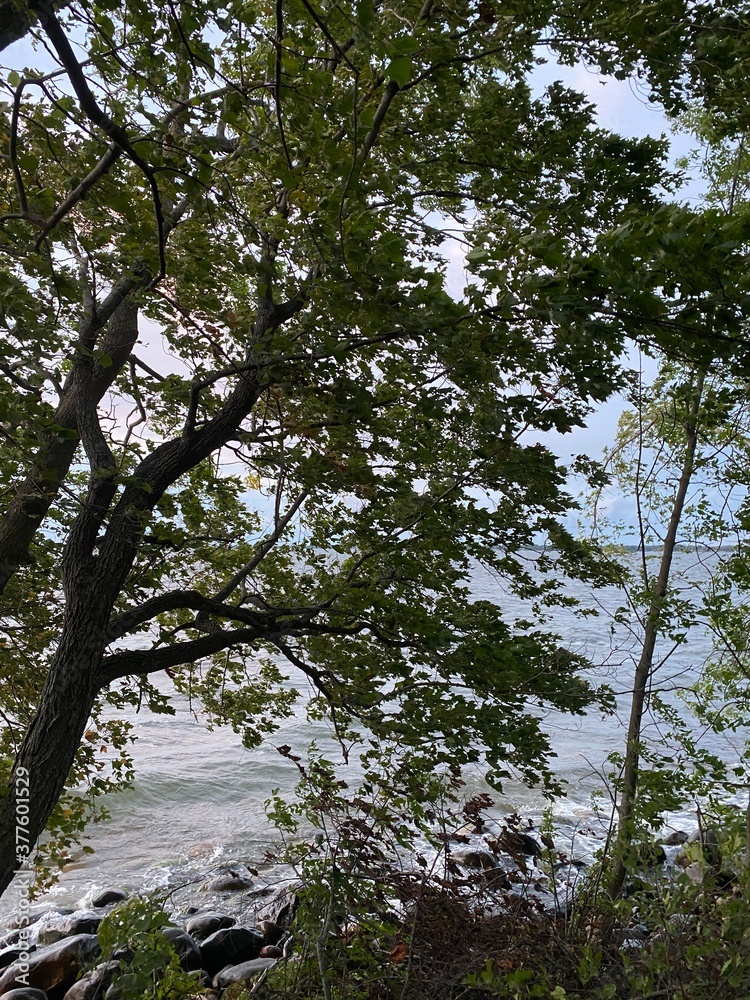 Obraz premium Scenic Minnesota Landscape in the Summer Time