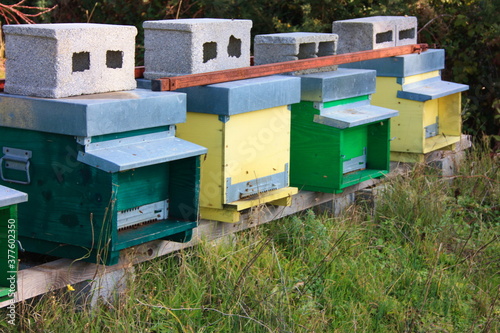 colorful wooden constructions for raising bees and their honey. small houses and beehives for beekeeping