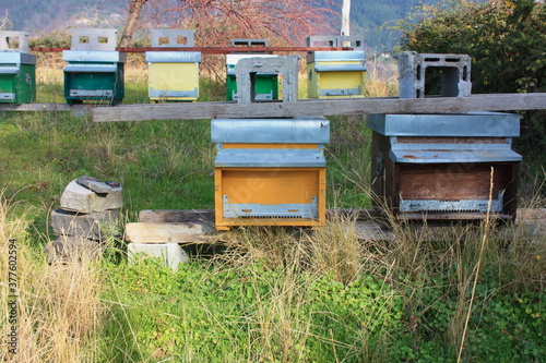 colorful wooden constructions for raising bees and their honey. small houses and beehives for beekeeping