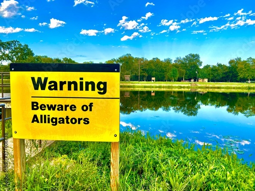 Beware of Alligators Sign with Alligator in the background 