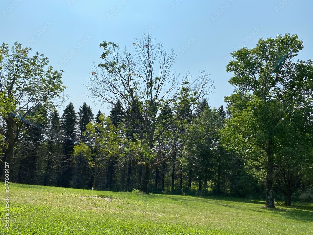 Scenic Minnesota Landscape in the Summer Time Scenic Minnesota Landscape in the Summer Time