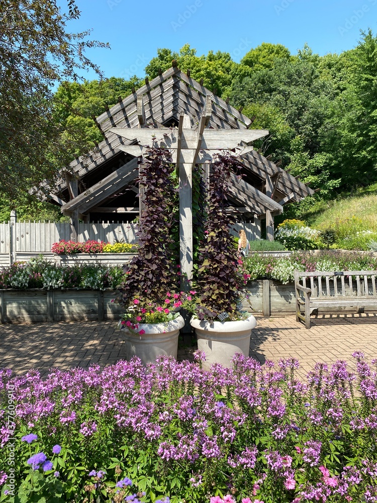 Scenic Minnesota Landscape in the Summer Time
