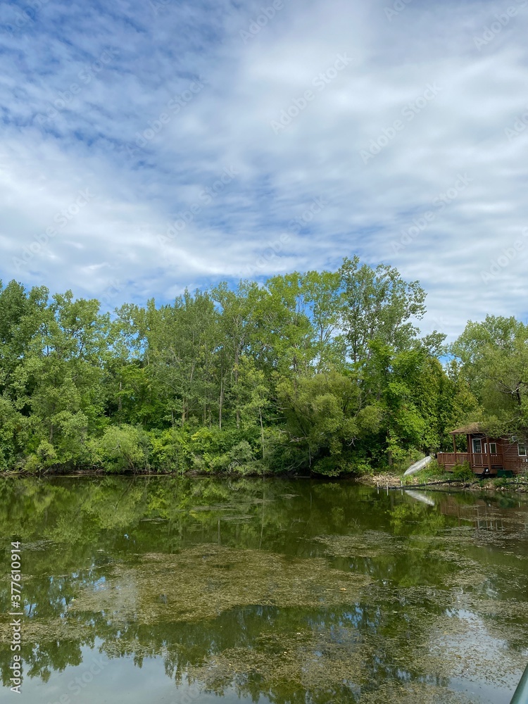 Obraz premium Scenic Minnesota Landscape in the Summer Time