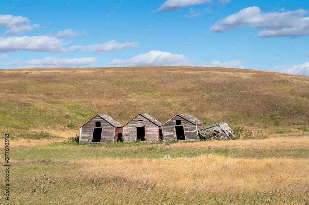 Old pigsty on the prairie at Sharples, Alberta, Canada