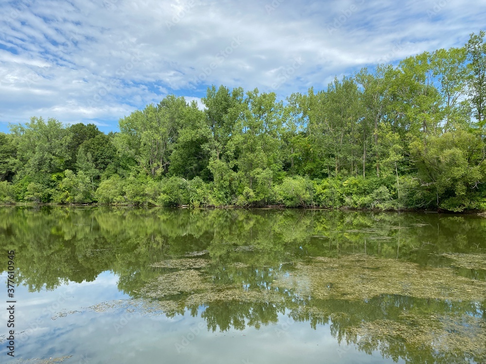 Scenic Minnesota Landscape in the Summer Time Scenic Minnesota Landscape in the Summer Time