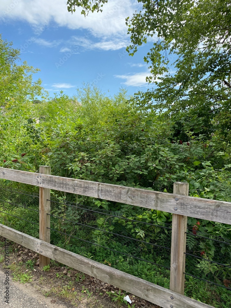 Scenic Minnesota Landscape in the Summer Time