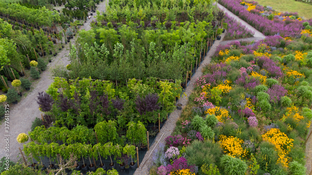colorful nature orchard field with many beautiful flowers