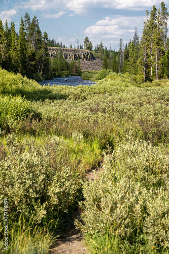 Fototapeta Naklejka Na Ścianę i Meble -  Sheepeater Cliff in Yellowstone National Park, with the Yellowstone River and grasses