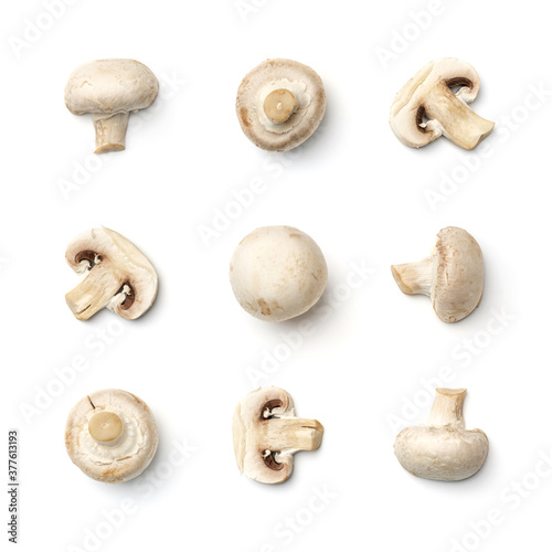 Collection of champignons isolated on white background