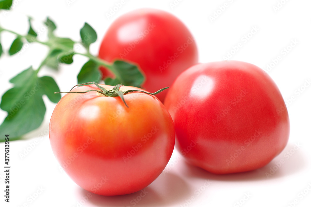 Tomatoes Dishes Vegetables Tomatoes Dishes Vegetables