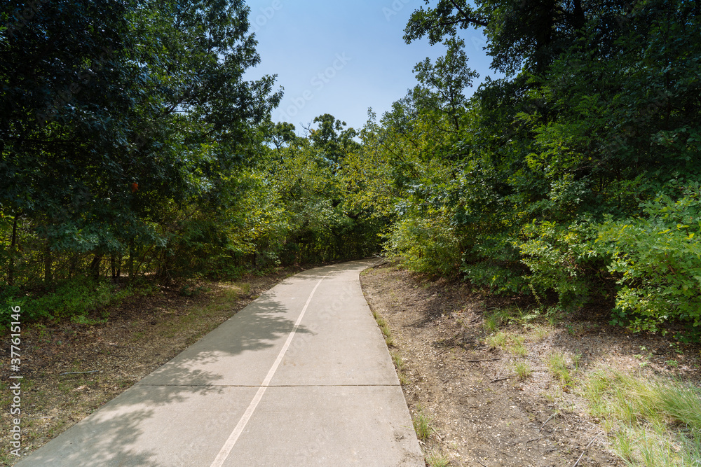 path in the park