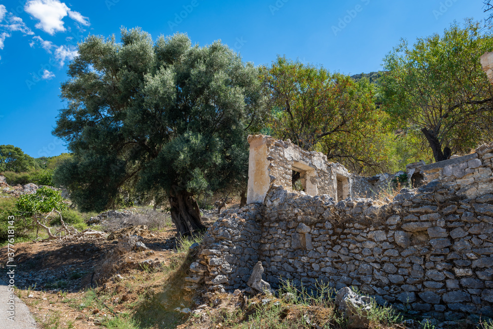 The abandoned settlement located on the mountain side  in mainland Greece of the village of Palia Plagia with its many broken stone houses.