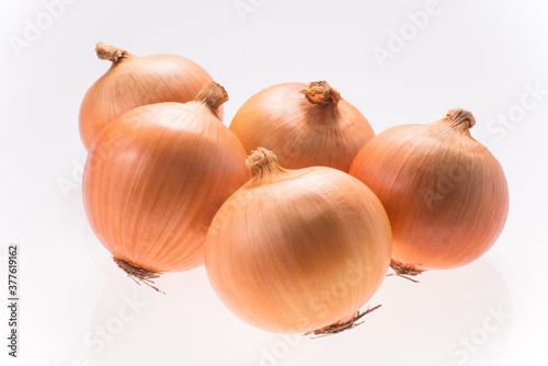 Wallpaper Mural タマネギ Torontodigital.ca