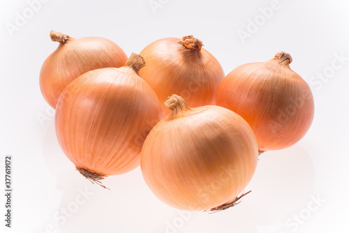 Wallpaper Mural タマネギ Torontodigital.ca