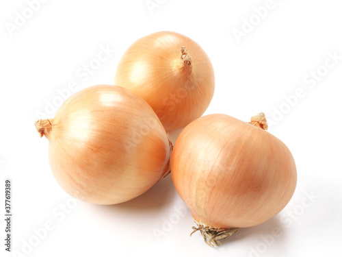 Wallpaper Mural タマネギ Torontodigital.ca