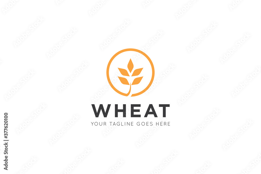 wheat logo, icon, symbol vector illustration design template wheat logo, icon, symbol vector illustration design template