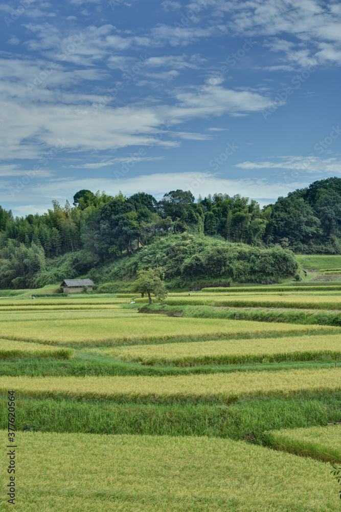 田園風景 田園風景