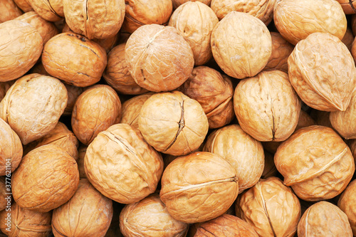       Walnuts. The concept of tasty and healthy food.