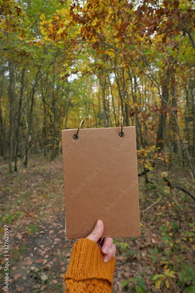 autumn to-do list.Autumn Mock up.Brown kraft notebook in the hands on a  yellow autumn park blurred background. Fall season.