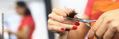 Female hairdresser hand hold strand of hair closeup. Deauty healthy hair care concept