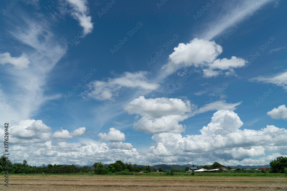 The fields and the sky are bright. The fields and the sky are bright.