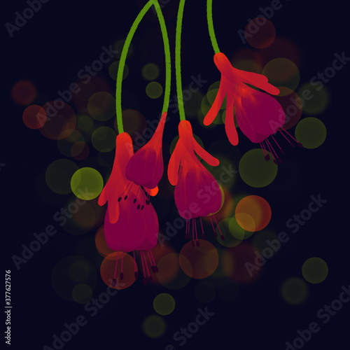 Elegant  Asian bleeding-heart flower. Digital illustration for your project.