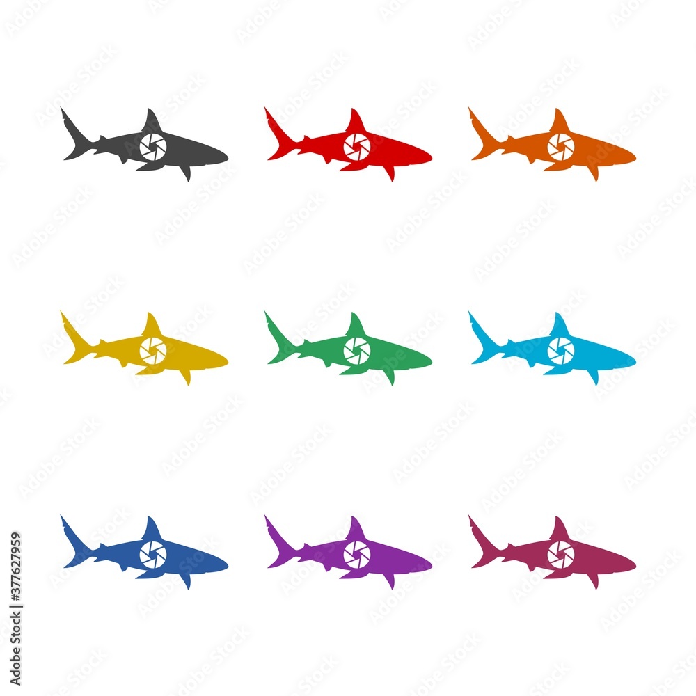 Simple shark icon, color set Simple shark icon, color set