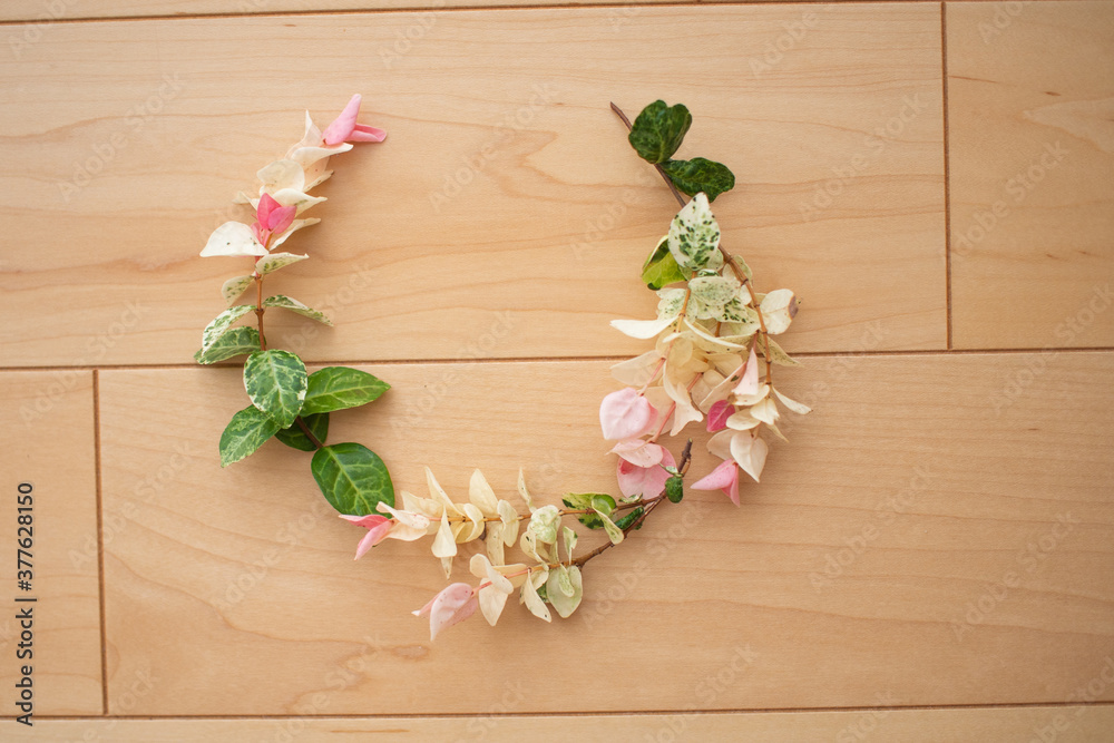 インテリアで飾った花(ハツユキカズラ) インテリアで飾った花(ハツユキカズラ)
