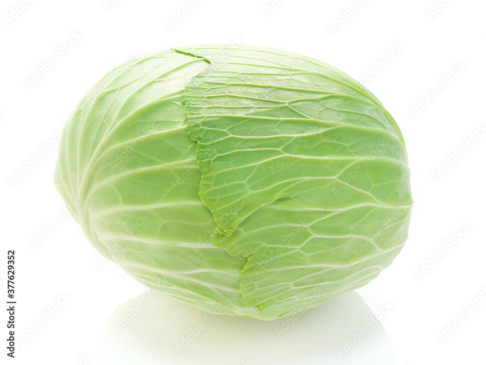 キャベツ キャベツ