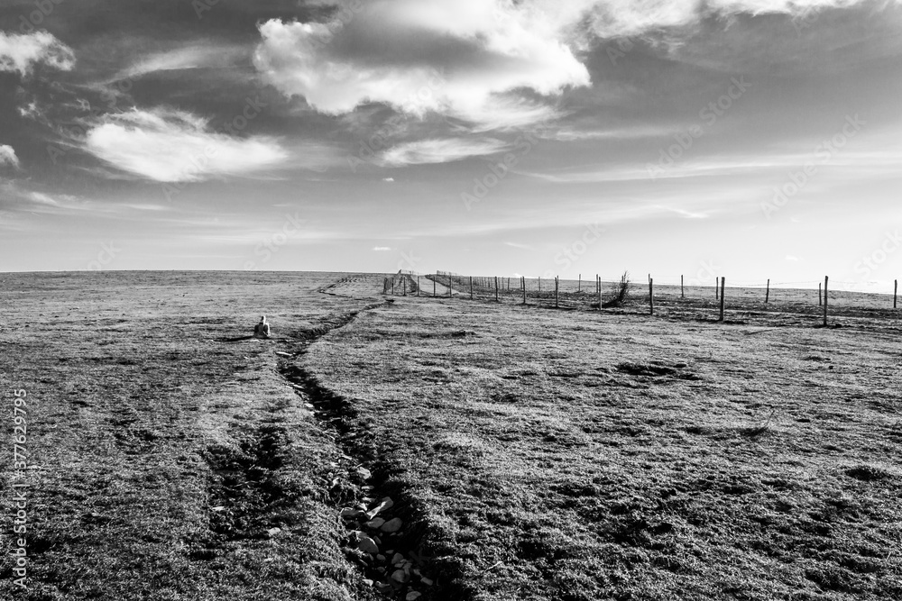 A mountain field with a very long crack going toward the horizon, beneath a deep sky with white clouds A mountain field with a very long crack going toward the horizon, beneath a deep sky with white clouds