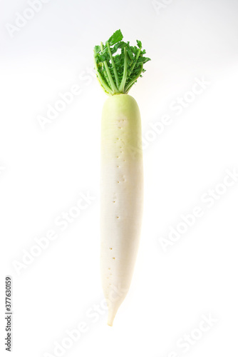 大根野菜日本白背景stock Photo Adobe Stock 大根野菜日本白背景stock Photo Adobe Stock