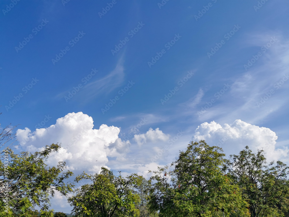 blue sky and clouds 