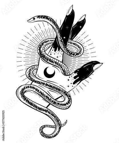 Hand with snake bohemian illustration. Tattoo art style. Decorative drawing in flash tattoo style