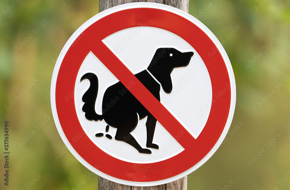 Schild Hunde Koten verboten rot in der natur Stock-Foto | Adobe Stock