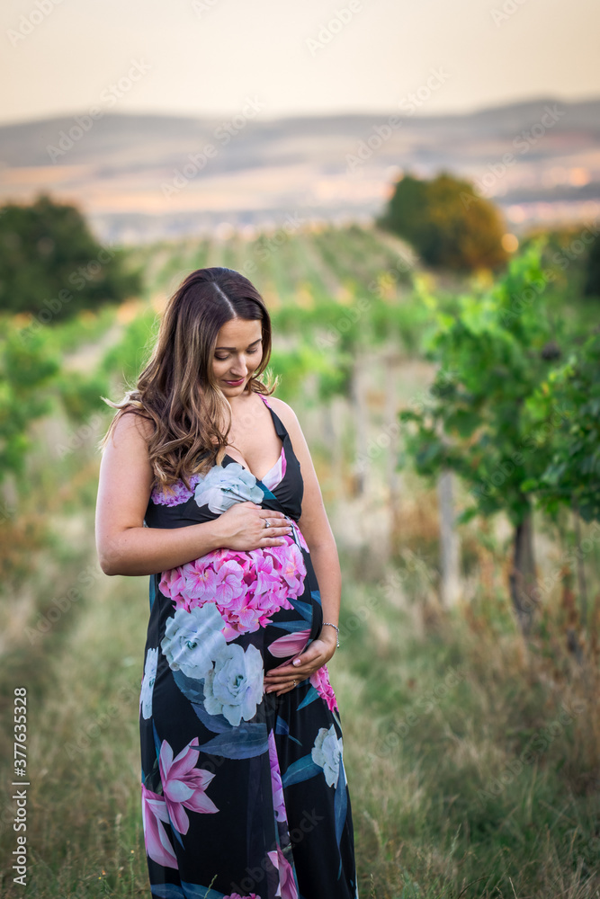 Pregnant woman stroking her belly. Happy young woman expecting newborn baby Pregnant woman stroking her belly. Happy young woman expecting newborn baby