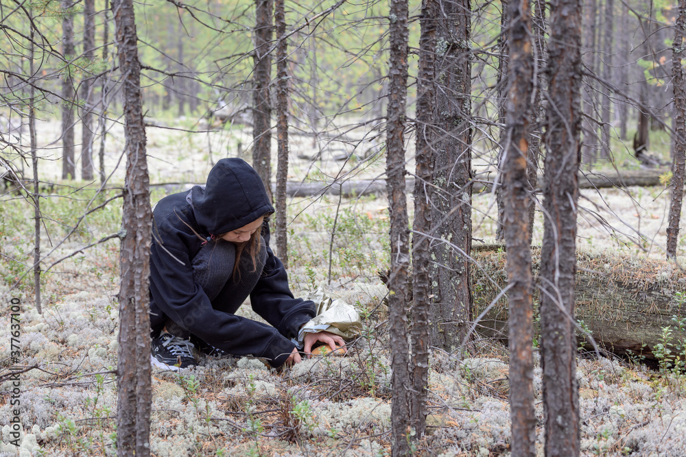 Young girl with hood on her head cuts off mushroom in the forest. Young girl with hood on her head cuts off mushroom in the forest.