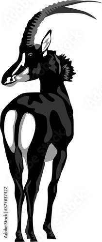 Sable antelope - greyscale vector illustration