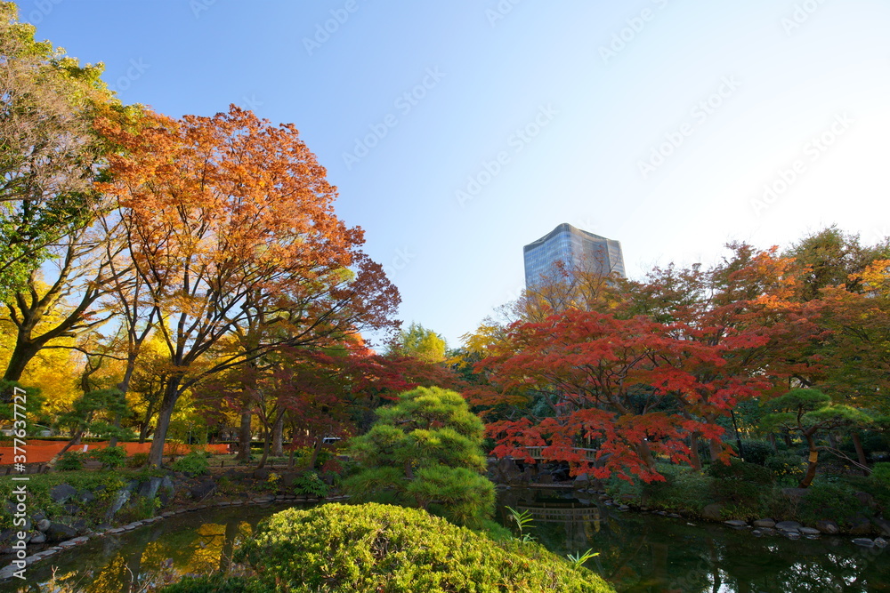 紅葉の日比谷公園