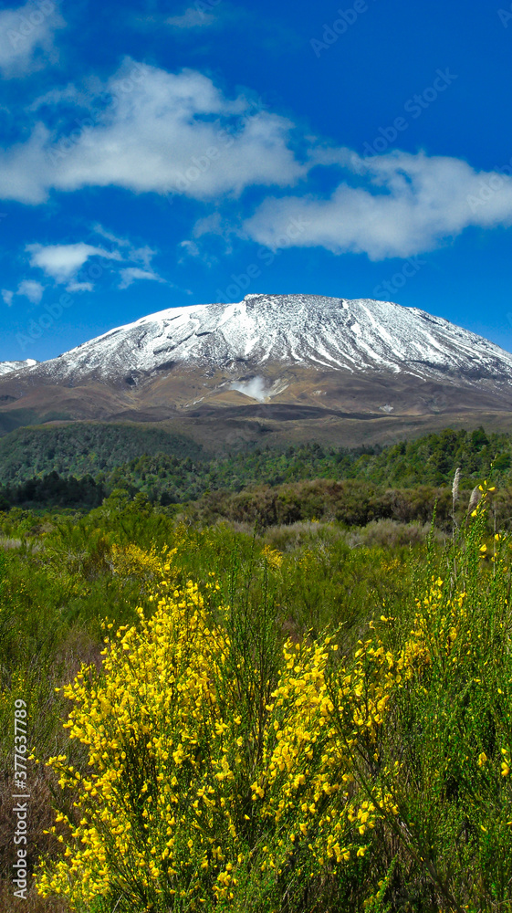 A Landscape view of a snow-capped Mount Ruapehu, part of the Tongariro Crossing in New Zealand.