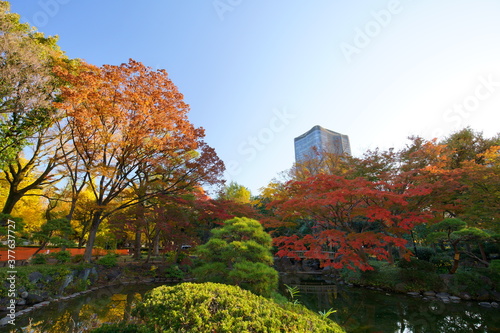 紅葉の日比谷公園 © sakura2424