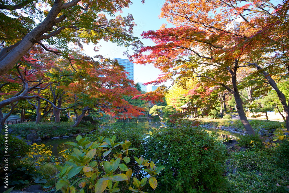 紅葉の日比谷公園