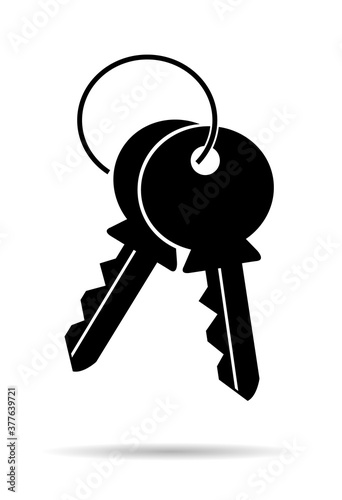 Web key icon with shadow, Lock symbol isolated on white background, house protection for web, website
