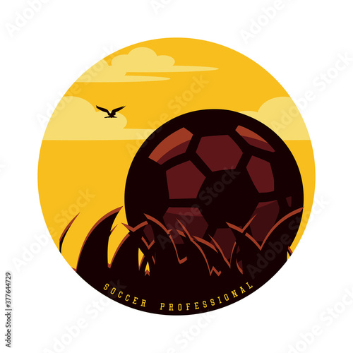 vector illustration soccer professional with football vintage illustration