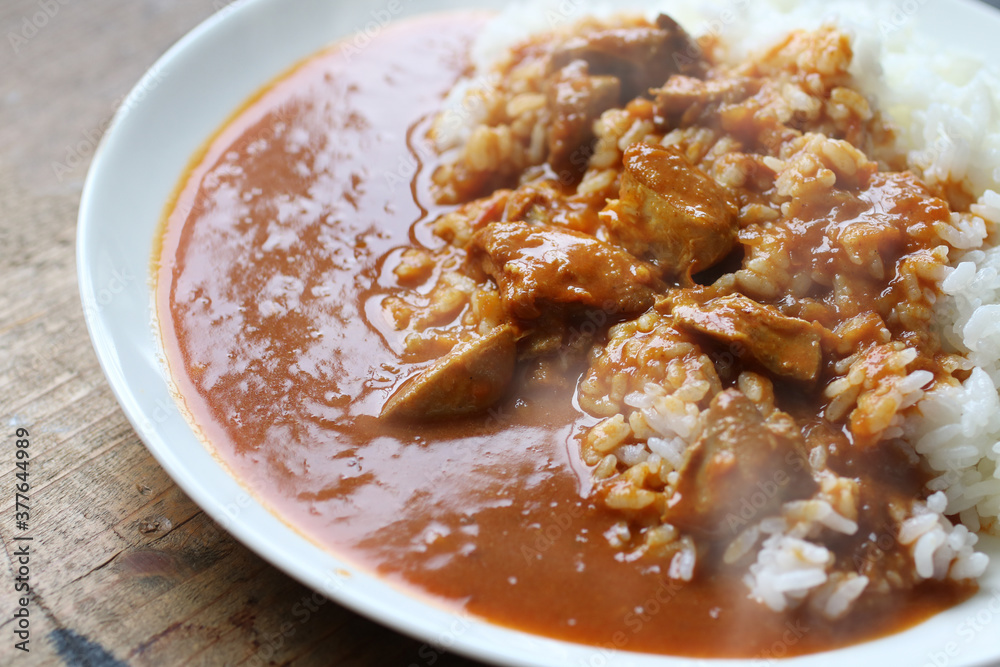 出来たてのほんわか湯気の上がるカレーライス 出来たてのほんわか湯気の上がるカレーライス