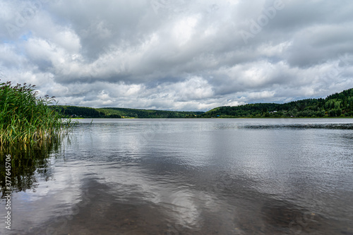 lake in the forest