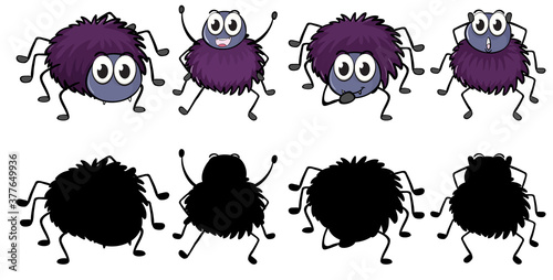 Set of insect cartoon character and its silhouette on white background