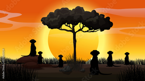 Outdoor nature silhouette sunset scene